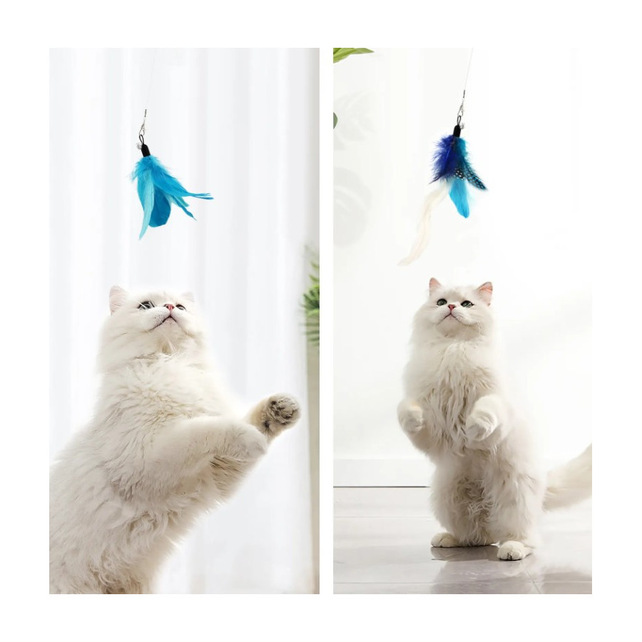 Canne à Pêche pour chat avec 6 embouts