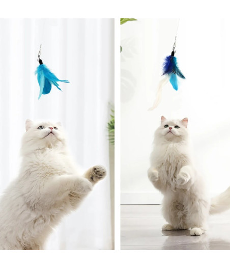 Canne à Pêche pour chat avec 6 embouts