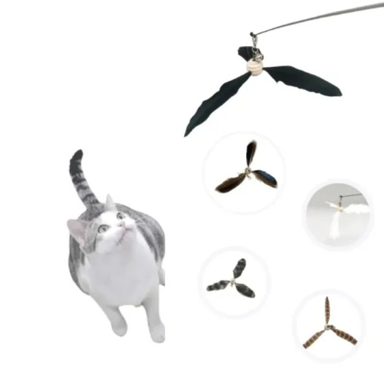 Lot Plumeau Funny toupie avec 4 toupies plumes