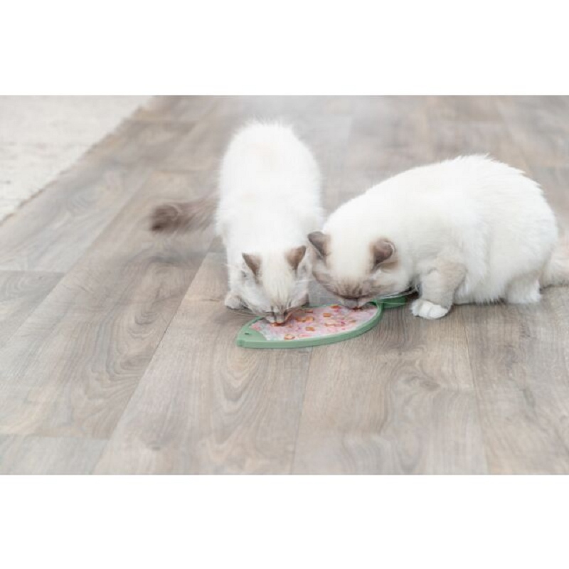 Trixie, Lick'n'Snack Lecktisch