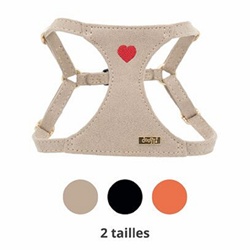 Doogy, Harness in love