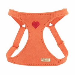 Doogy, Aprovecha el amor