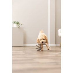 Trixie, Fishbone on rope