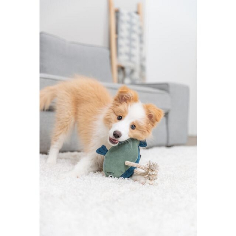 Trixie, Poisson sur corde