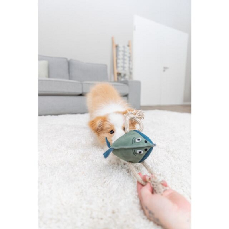 Trixie, Pesce su una corda