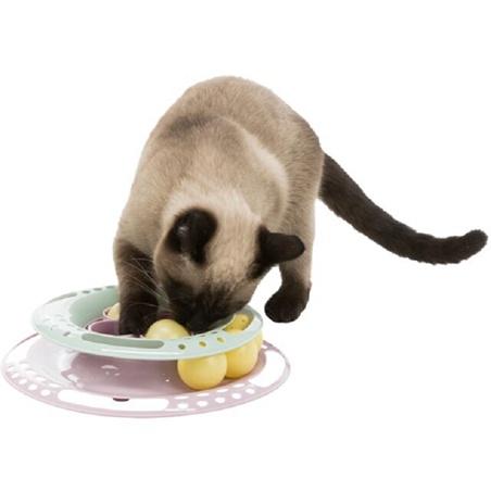 Trixie, Junior Kitten Circle