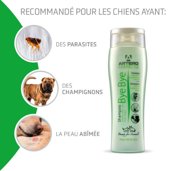 Artero Shampooing Bye Bye Antiparasitaire 250ml