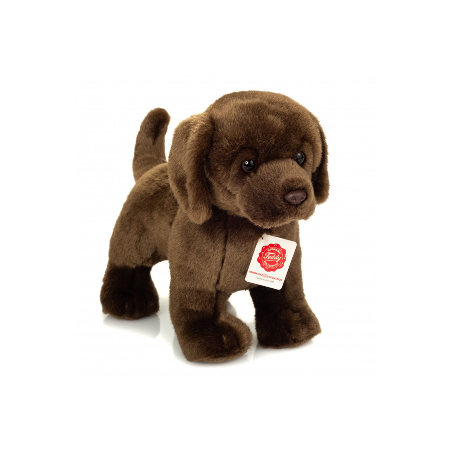 Teddy Hermann, Peluche Labrador Chocolat