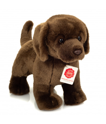 Teddy Hermann, Peluche Labrador Chocolat