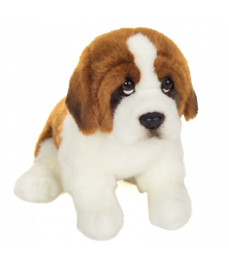 Teddy Hermann, asistente de San Bernardo de Peluche