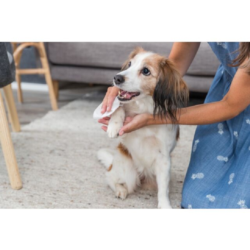 Trixie, Salviette cosmetiche universali