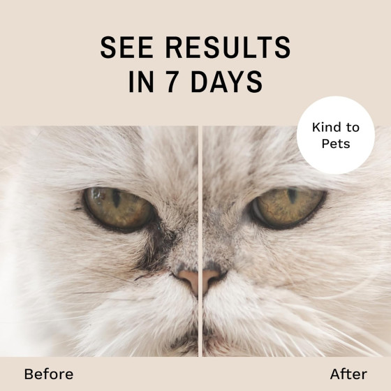 Kit Eye Envy chats – Éliminez naturellement les taches de larmes | Solution sûre et efficace