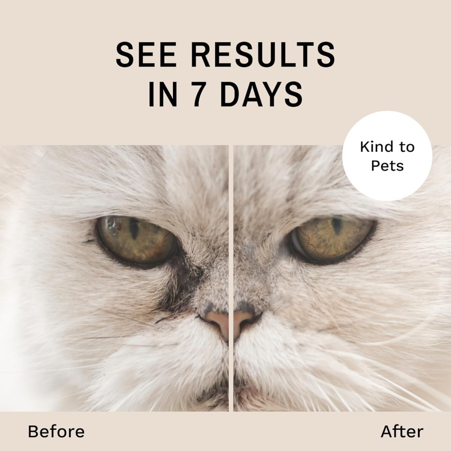 Kit Eye Envy chats – Éliminez naturellement les taches de larmes | Solution sûre et efficace