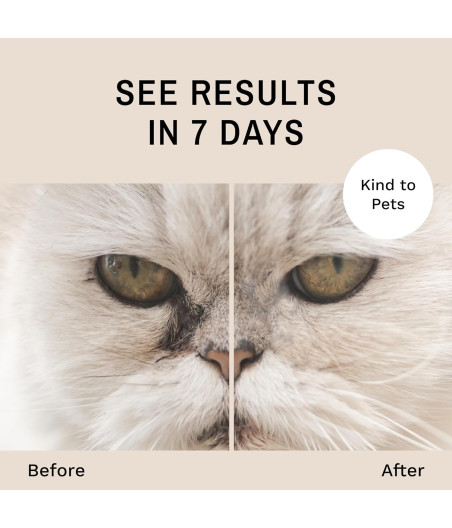 Kit Eye Envy per gatti – Rimuove le macchie lacrimali in modo naturale | Soluzione sicura ed efficace