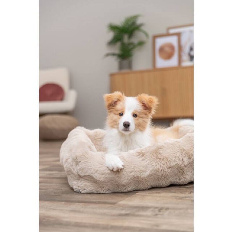 Trixie, Elli Bed