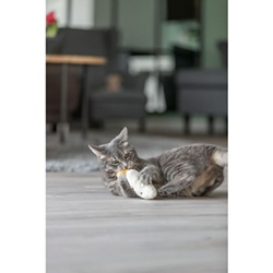 Trixie, Faccia addormentata