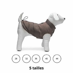 Chadog, Wisiti Brown Dog Coat