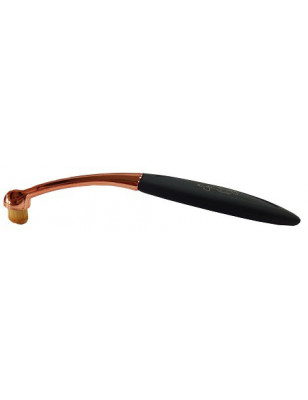 Brosse applicateur de poucre Eye Envy