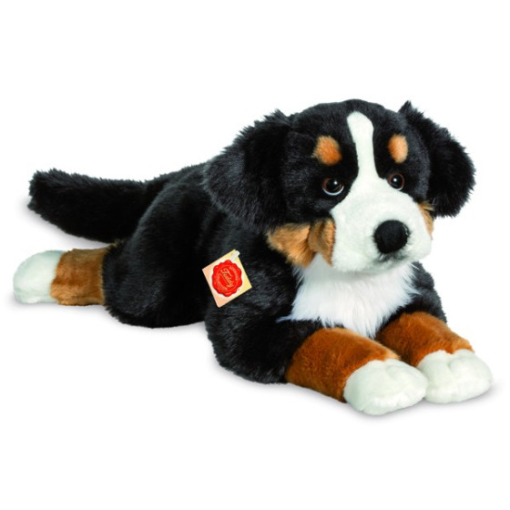 Hermann Teddy, peluche di cane da montagna bernese, 60 cm