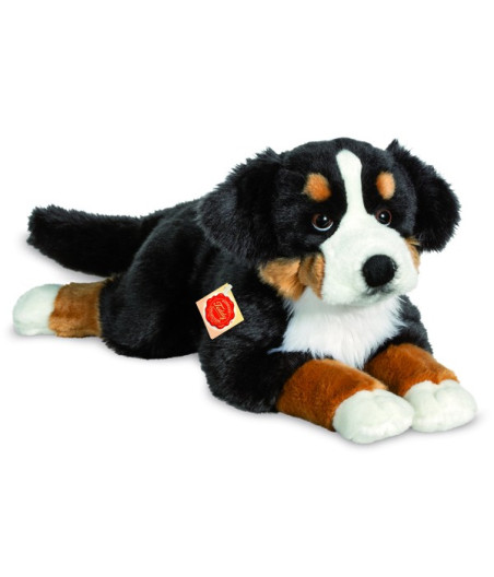 Hermann Teddy, peluche di cane da montagna bernese, 60 cm