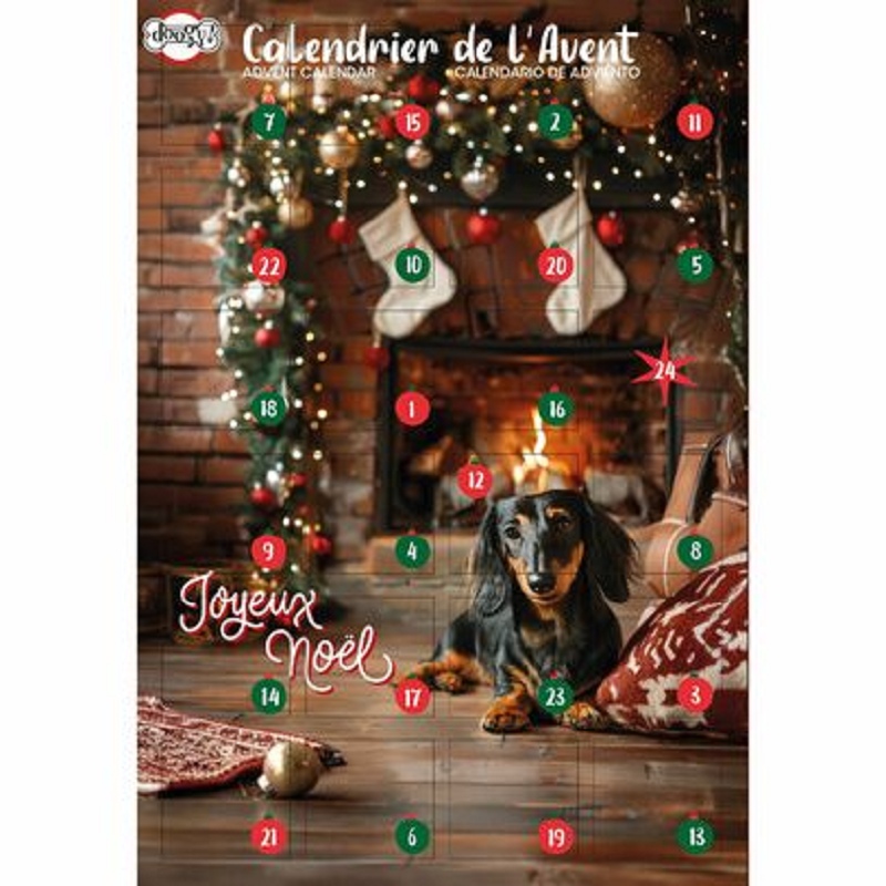 Doogy, Calendrier de l'avent pour chien Doogy : 168gr