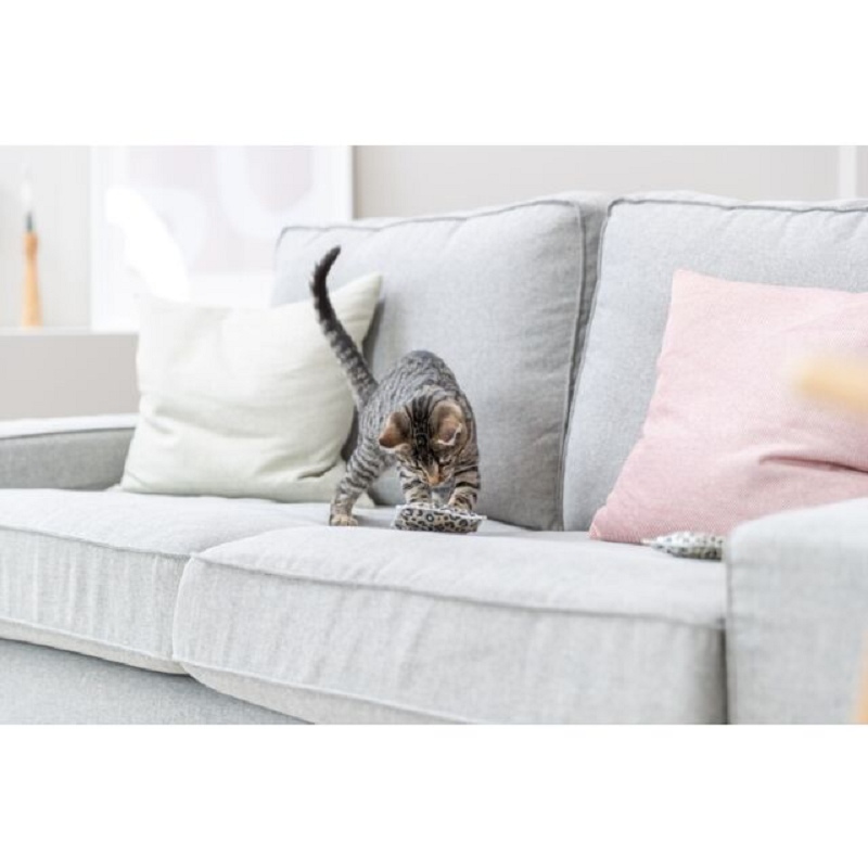 Trixie, Coussin Leo