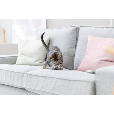 Trixie, Coussin Leo