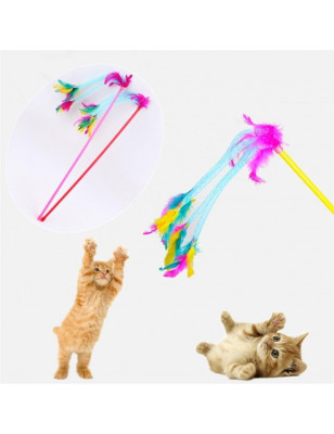 Plumeau attrape chat