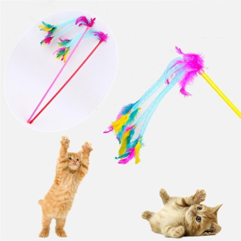 Plumeau attrape chat Plumeau attrape chat