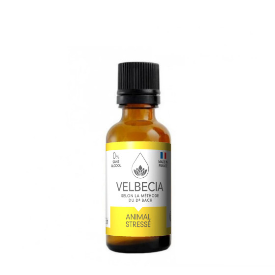 Fiori di Bach per animali stressati – Velbecia | Lenitivo naturale