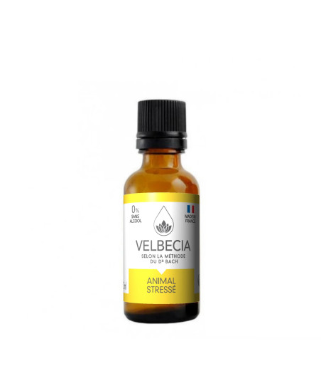 Velbecia – Flores de Bach para Animales, Fórmula para Animales Estresados – 30 ml