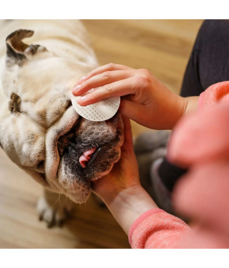 👉 Kit Soin Bouledogue Plis & Nez – Eye Envy | Peau & Truffe