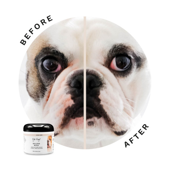 👉 Kit Soin Bouledogue Plis & Nez – Eye Envy | Peau & Truffe