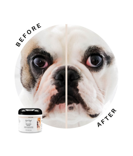 Eye Envy – Kit de soin rides & nez pour Bouledogue