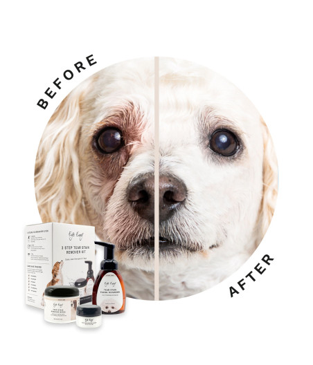 👉 Kit para eliminar manchas de lágrimas de perro – Eye Envy 3 pasos