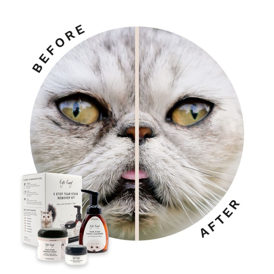 Eye Envy – Kit de détachage lacrymal en 3 étapes pour chats