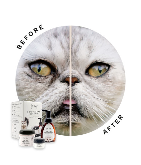 Eye Envy – Kit de détachage lacrymal en 3 étapes pour chats