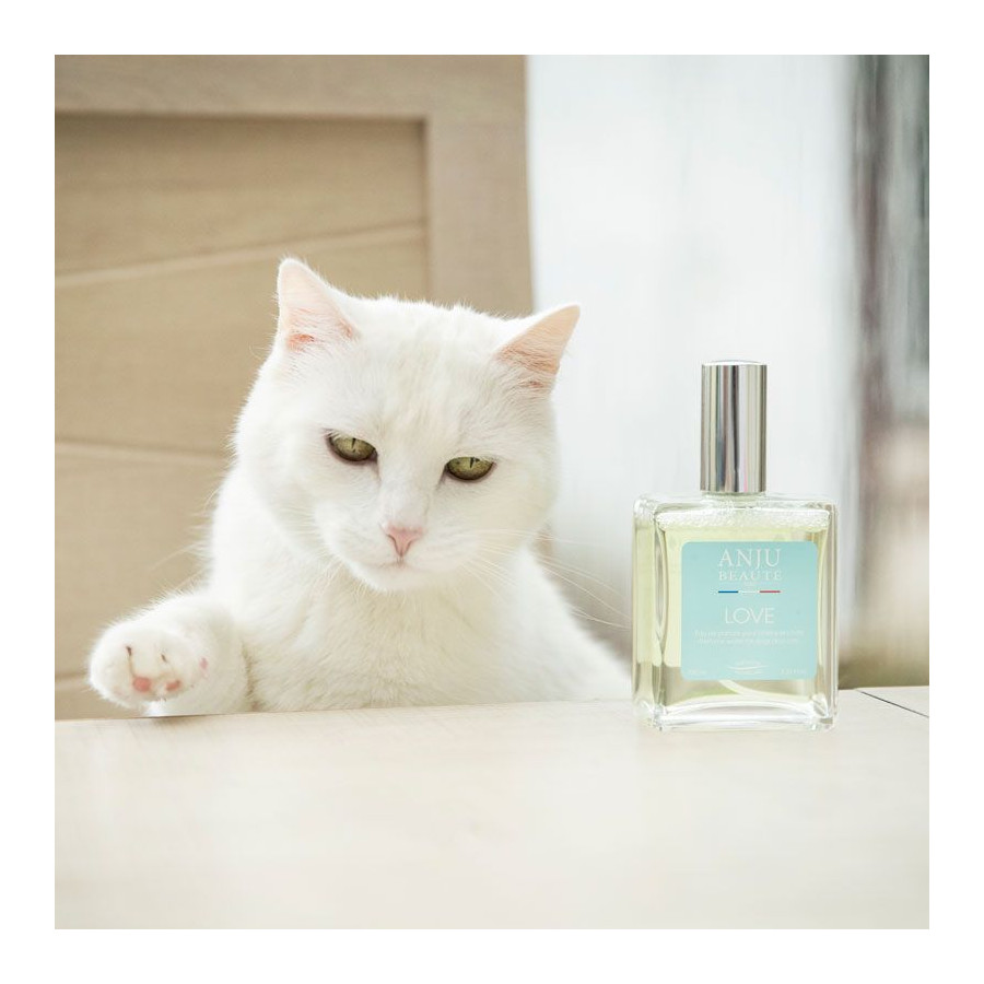 Love Eau de Parfum sin alcohol para perros y gatos – Anju Beauty