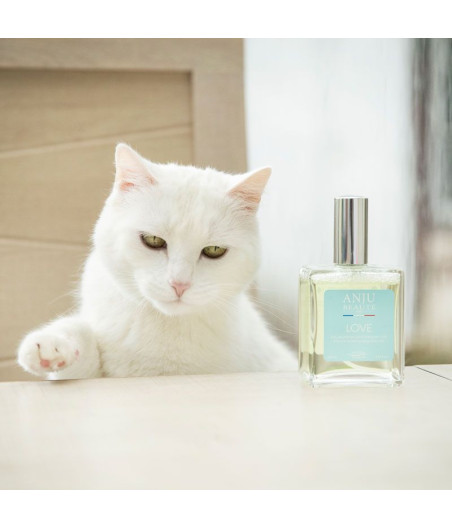 parfum love Anju Beauté