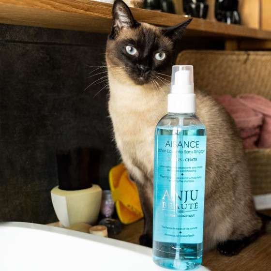 Lozione detergente senza risciacquo Anju Beauty Abundance