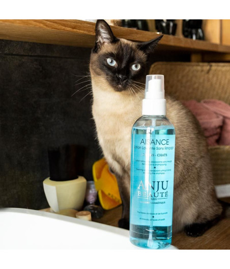 shampoing sans rinçage Anju beauté