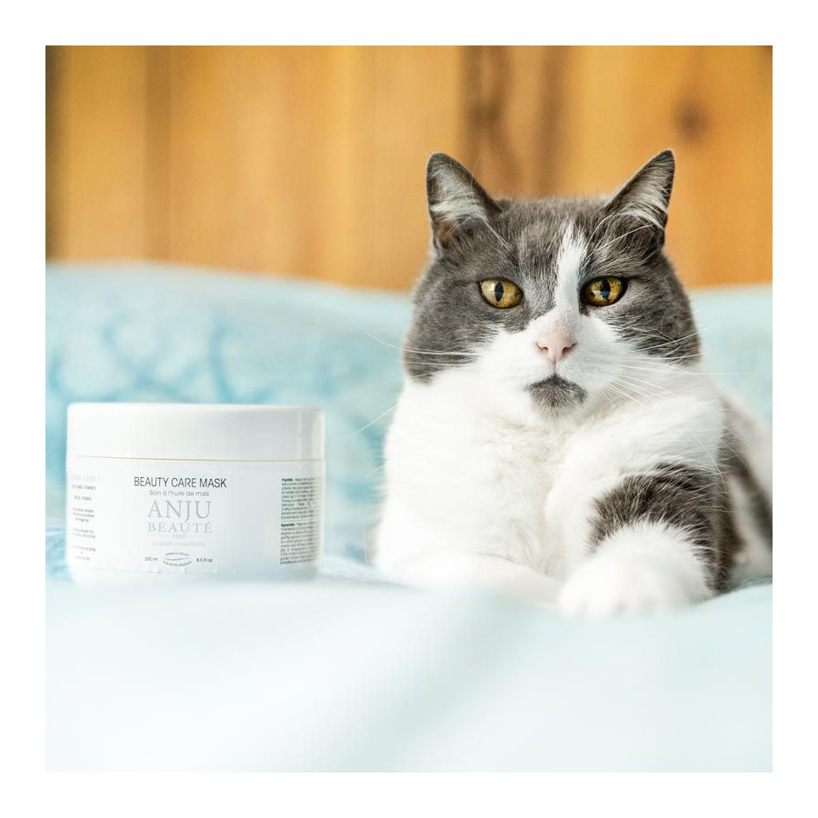 MASQUE nourrissant Anju Beauté beauty care