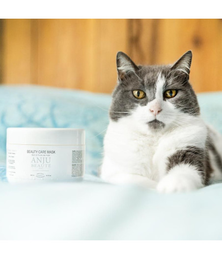 MASQUE nourrissant Anju Beauté beauty care