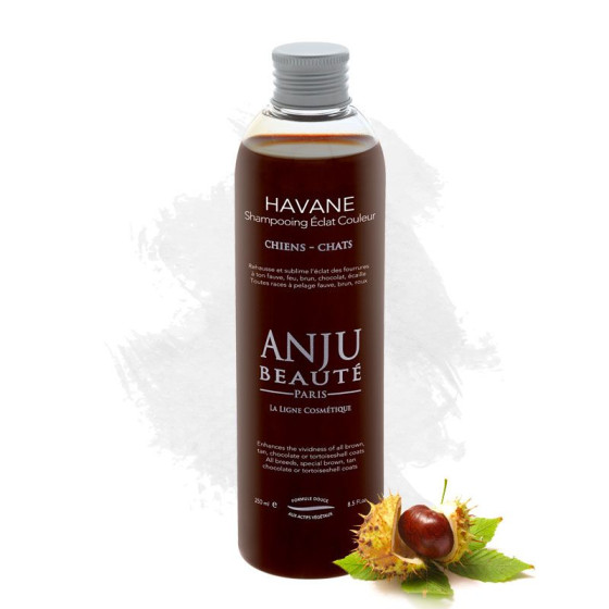 Shampooing Havane raviveur tons chauds chiens et chats – Anju Beauté