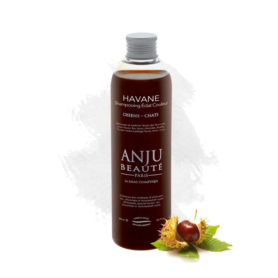 Champú Havana para pelaje leonado y castaño – Anju Beauty