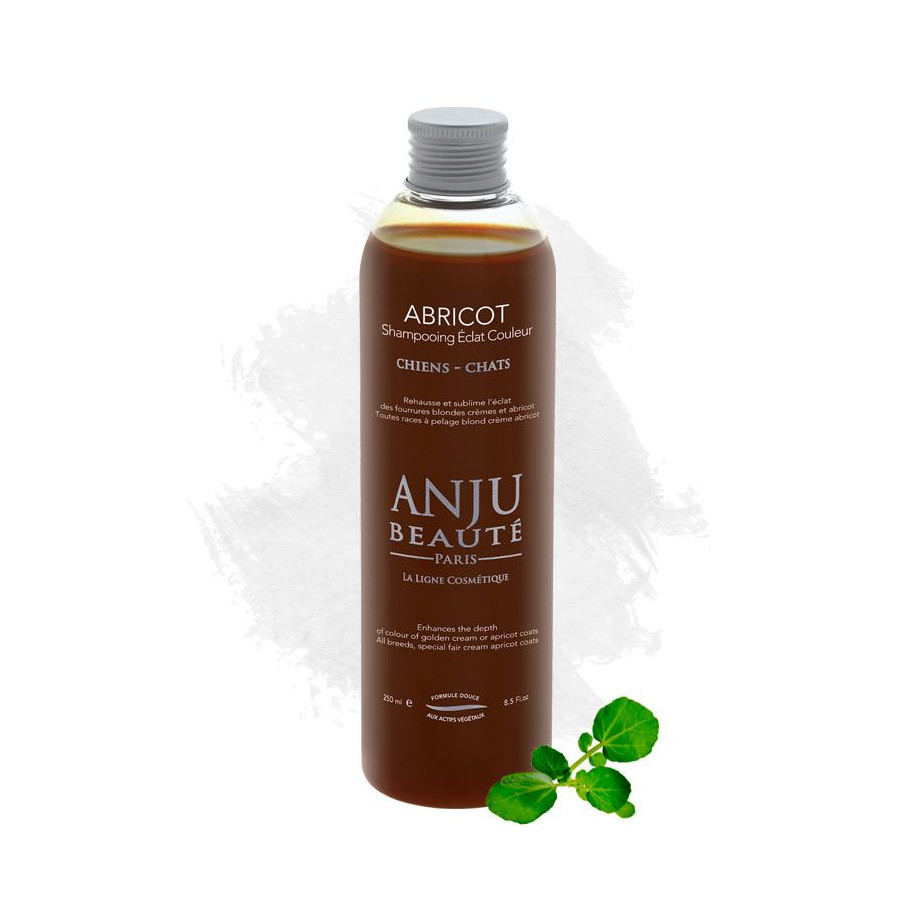 Champú y crema de albaricoque para cabello rubio – Anju Beauty