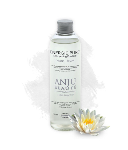 Shampoo Pure Energy senza profumo per cani e gatti – Anju Beauty