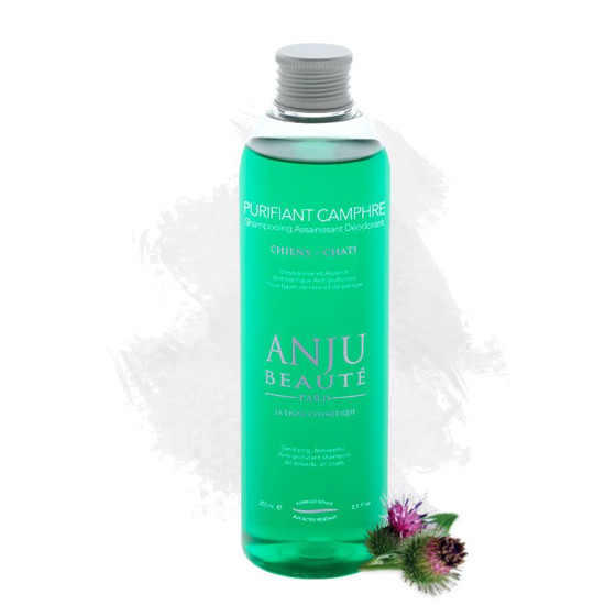 Shampooing Purifiant Camphre désodorisant chiens et chats – Anju Beauté