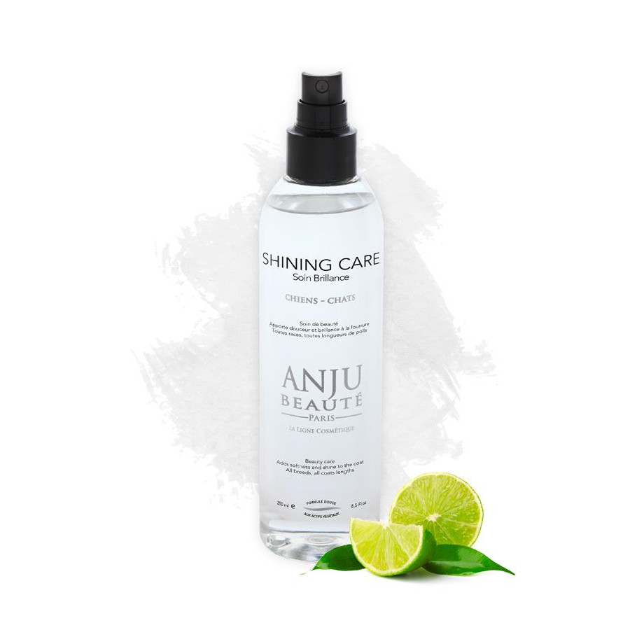 Shining Shine Spray Lotion – Anju Beauty