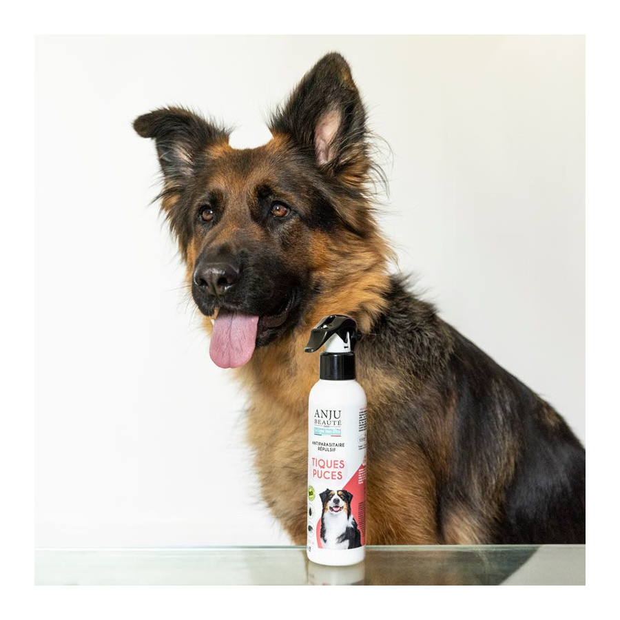 Lozione antipulci e zecche Anju Beauty per cani